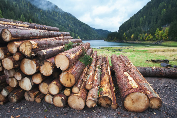 logs