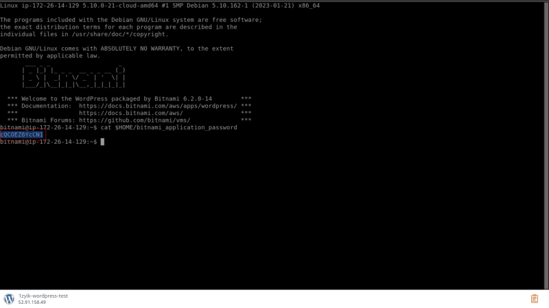 Terminal output of password