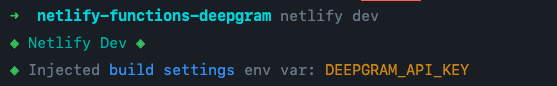 netlify dev being run, and then the log 'Injected build settings env var DEEPGRAM_API_KEY'