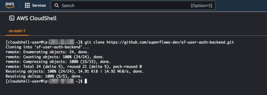 clone repo