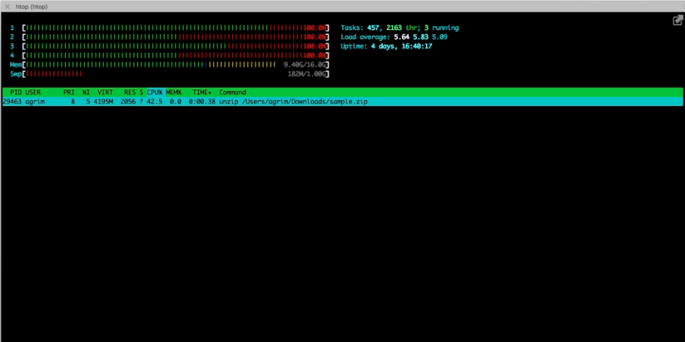 python linux process monitor