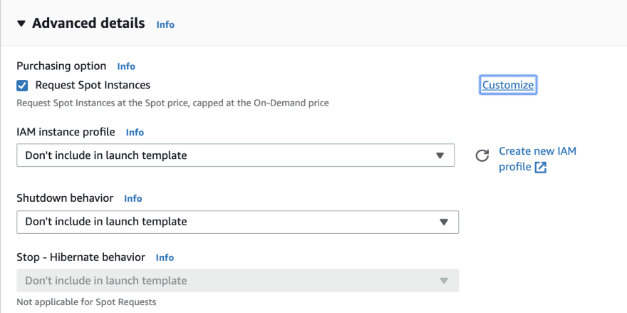 Image of Advanced Details box expanded and Request Spot Instances checkbox checked