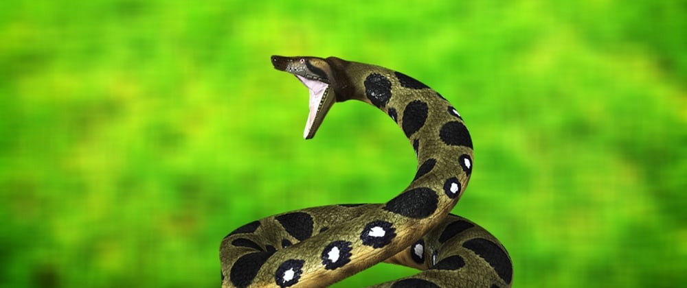 Anaconda Anaconda