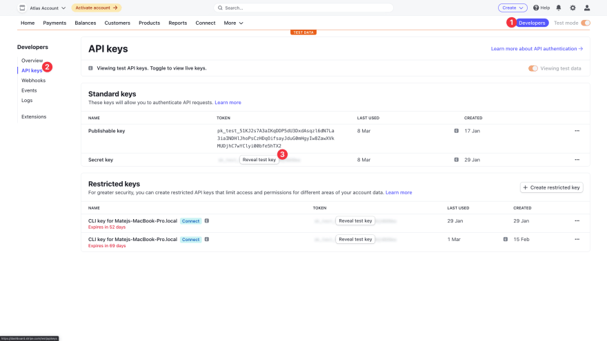 Stripe API key