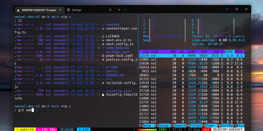 My developer workflow using WSL, tmux and Neovim - DEV Community