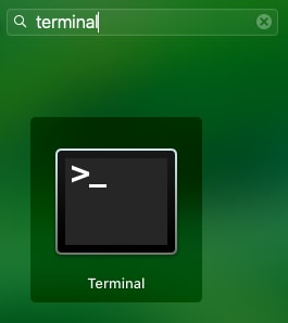 terminal
