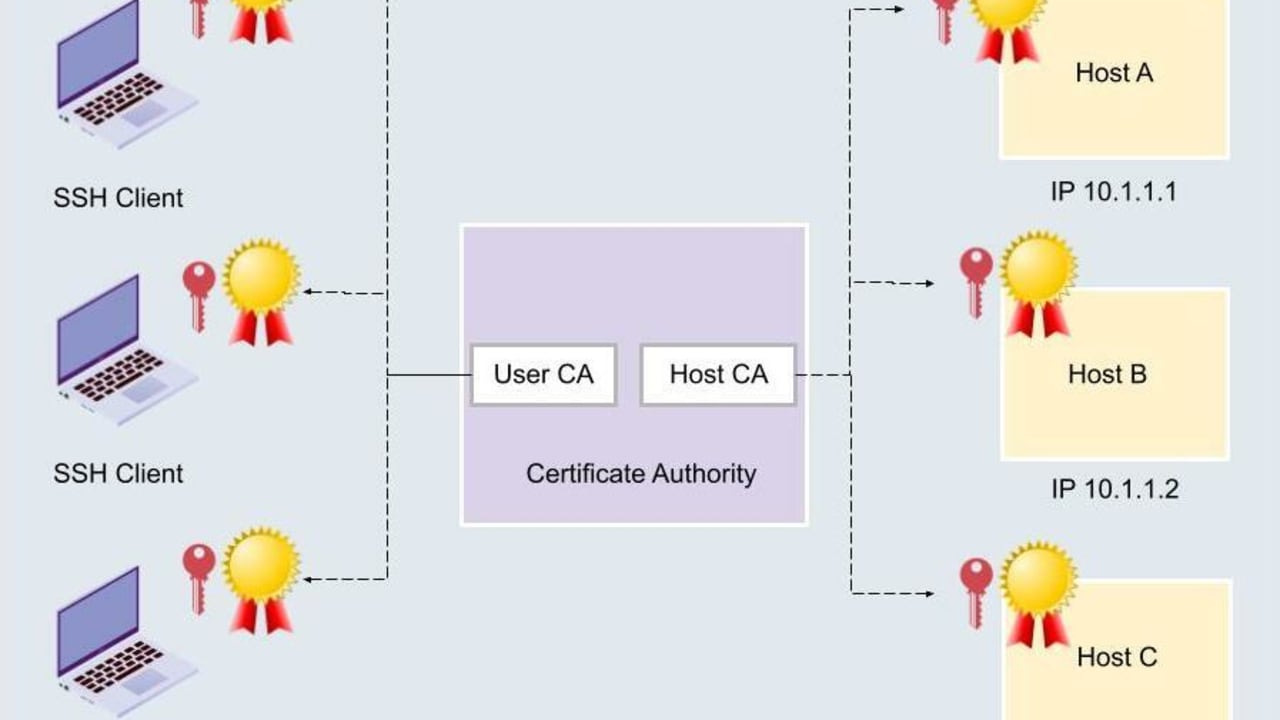 reviewed-com-res.cloudinary.com/image/fetch/s--ff8