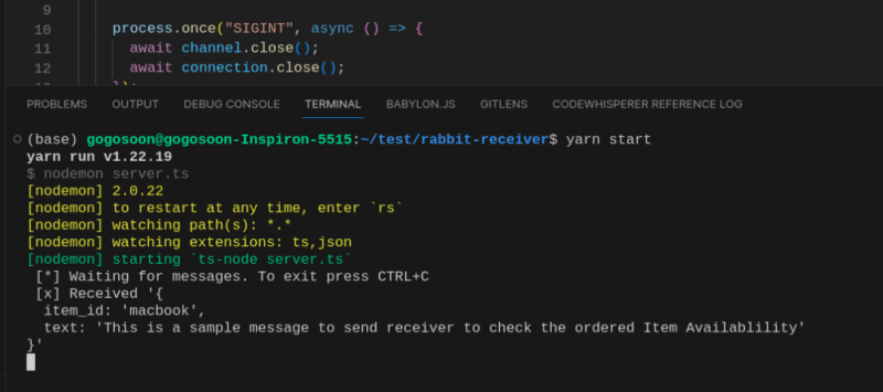 Received message from the RabbitMQ producer in our consumer service