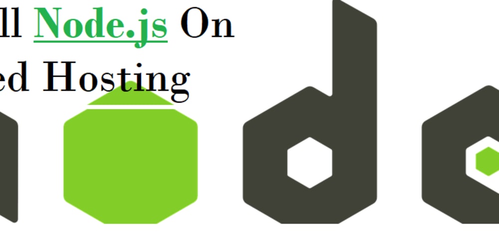 Node hosting. Nodejs 3d vector.