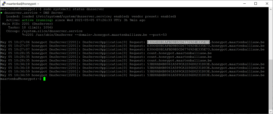 Custom DNS server logs last couple of requests