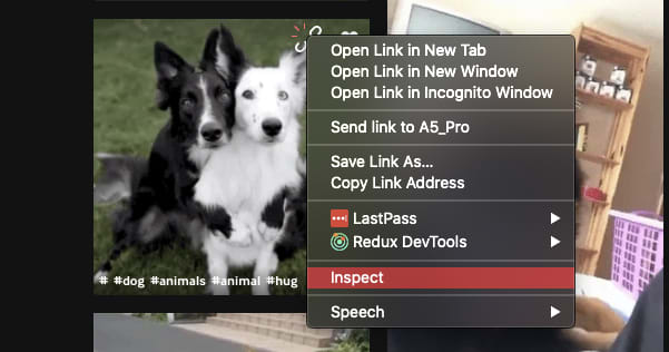 Inspect GIPHY