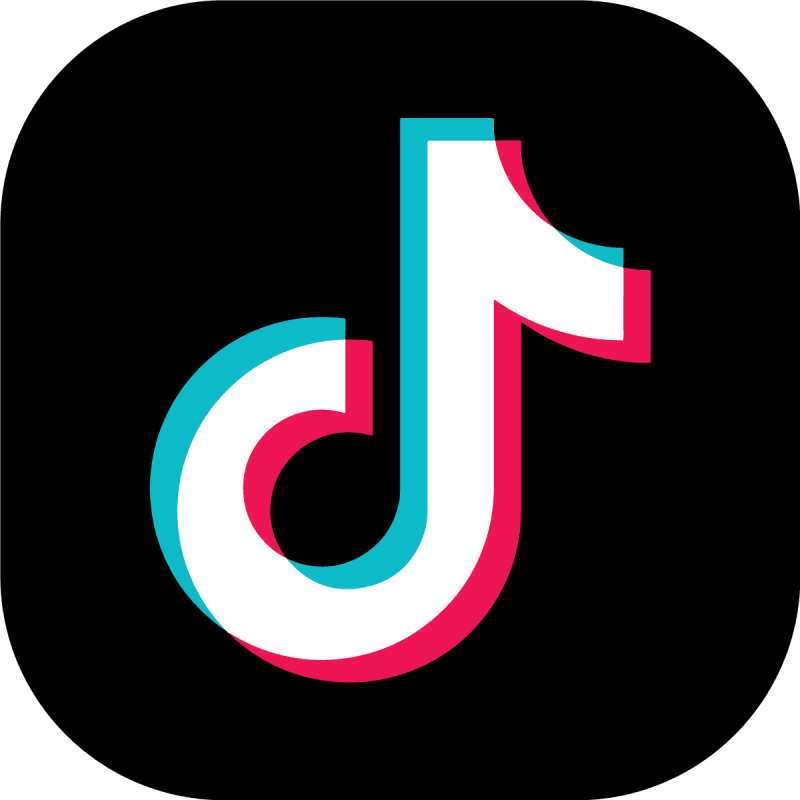 TikTok vs.  – Find Out What Suits Your Needs -  Blog:  Latest Video Marketing Tips & News