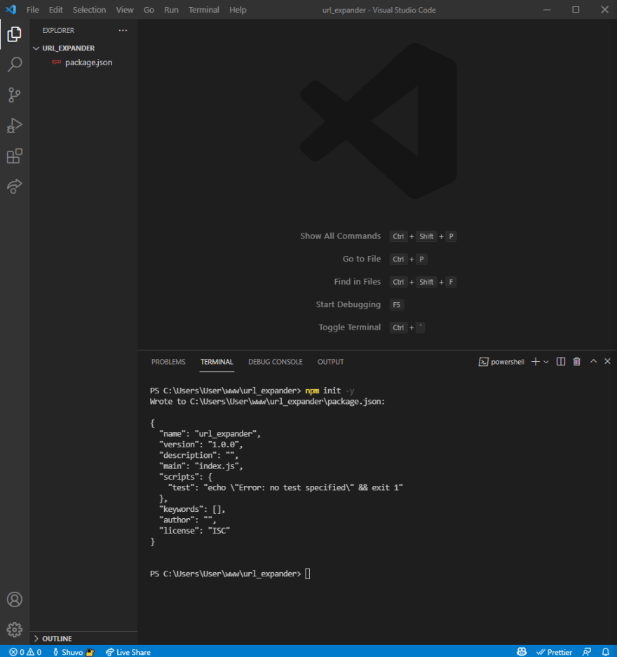 Initializing a new Node.JS project