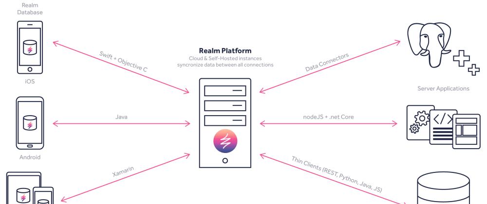 Cover image for Intro to Realm Database