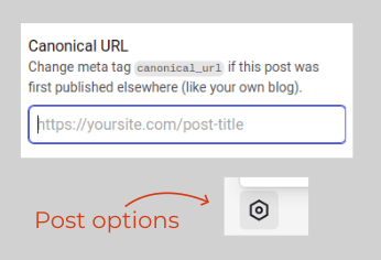 DEV Post interface to provide Canonical URL