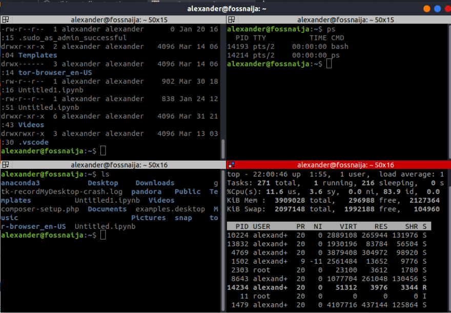 terminator terminal windows