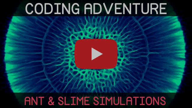 Coding Adventure: Ant and Slime Simulations