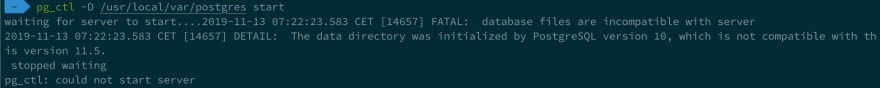 Postgres issue on startup