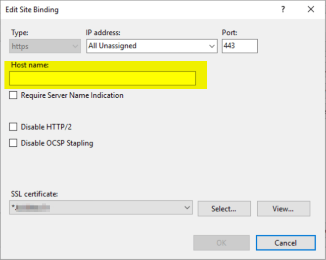 Host Name settings on IIS