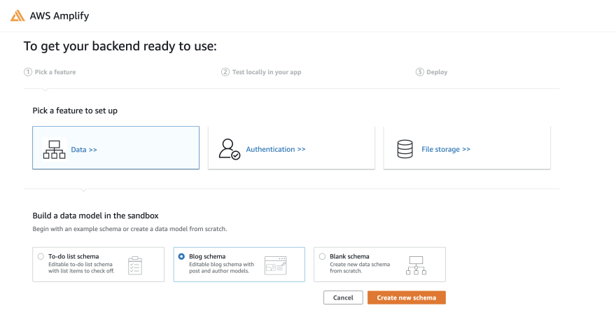 data selected with blog schema
