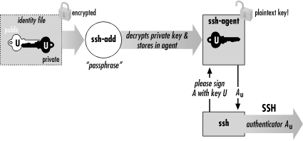 mac restart ssh agent