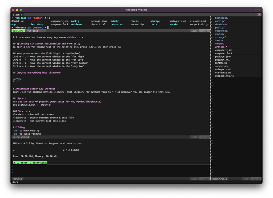 phpstorm vim