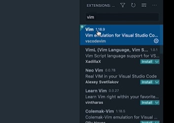 visual studio vim open files