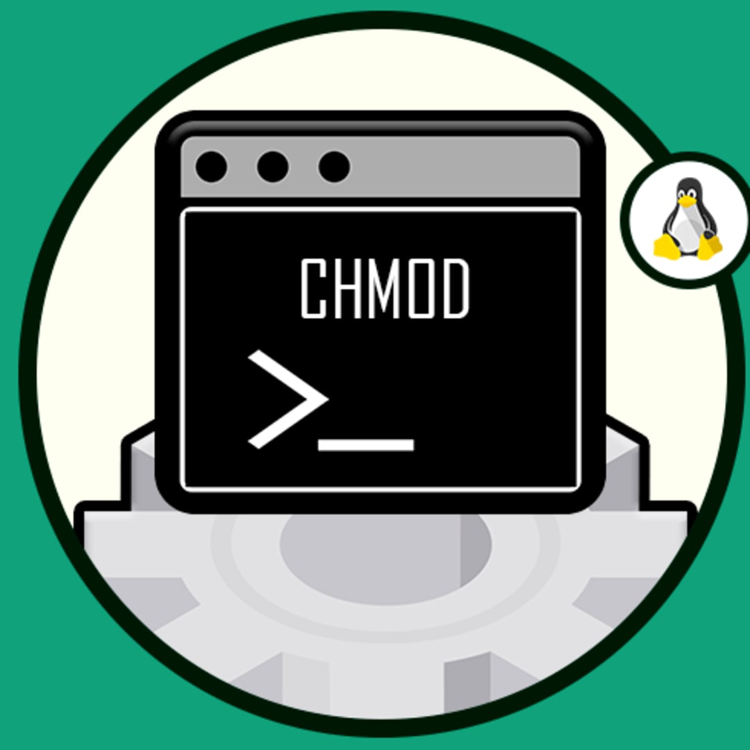 How To Set Chmod 777 To A Folder And All Its Contents Dev Community