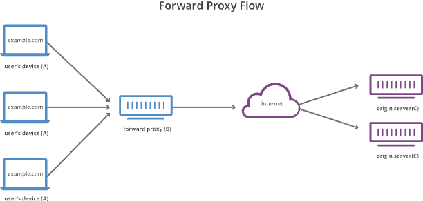 Forward proxy flow - Reverse proxy architecture.