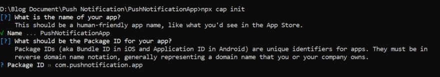 Fill out the app details