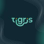 Tigris Data logo