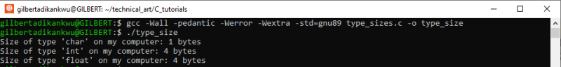 My Ubuntu 20.04 LTS terminal showing the output memory allocation specification generated by running the above program