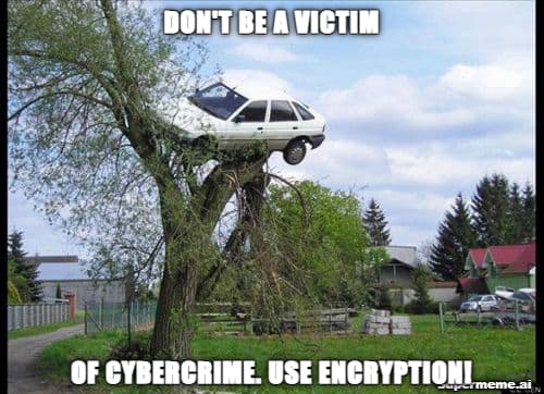 Cybercrime