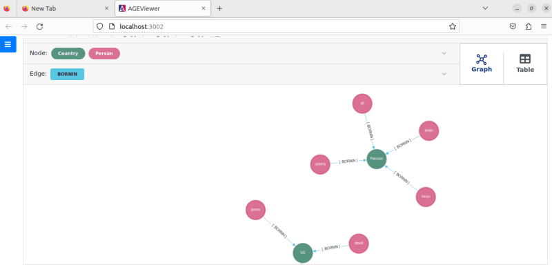Apache Age Graph Form