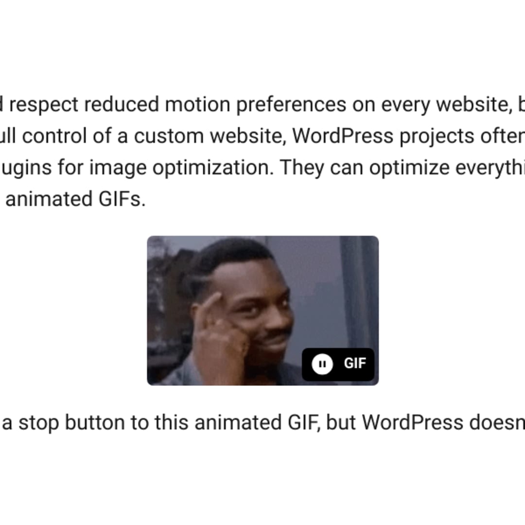 How to Fix WordPress GIF Not Playing in 2023 [SOLVED]