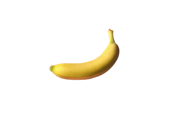 Random image without background