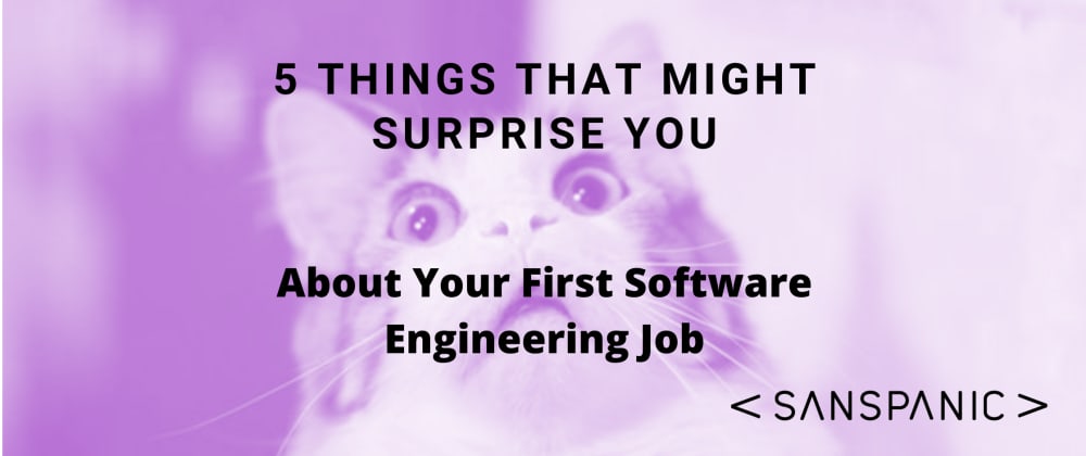 Cover image for 5 Things That Might Surprise You About Your First Software Engineering Job