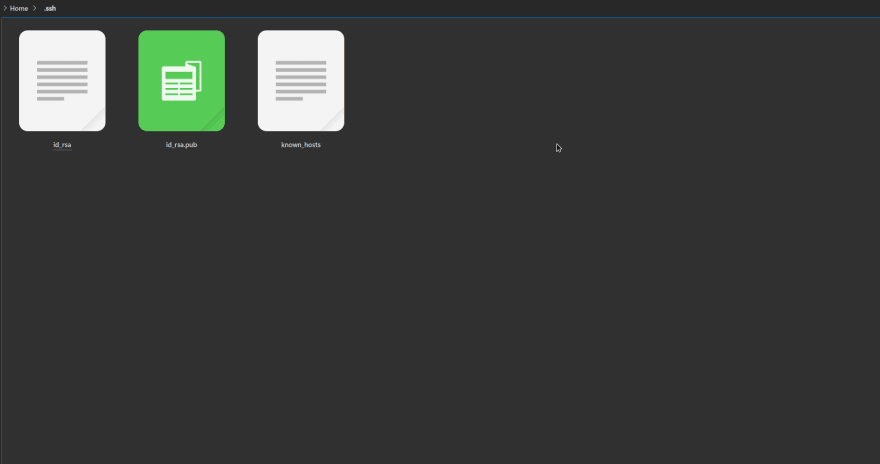 ssh file