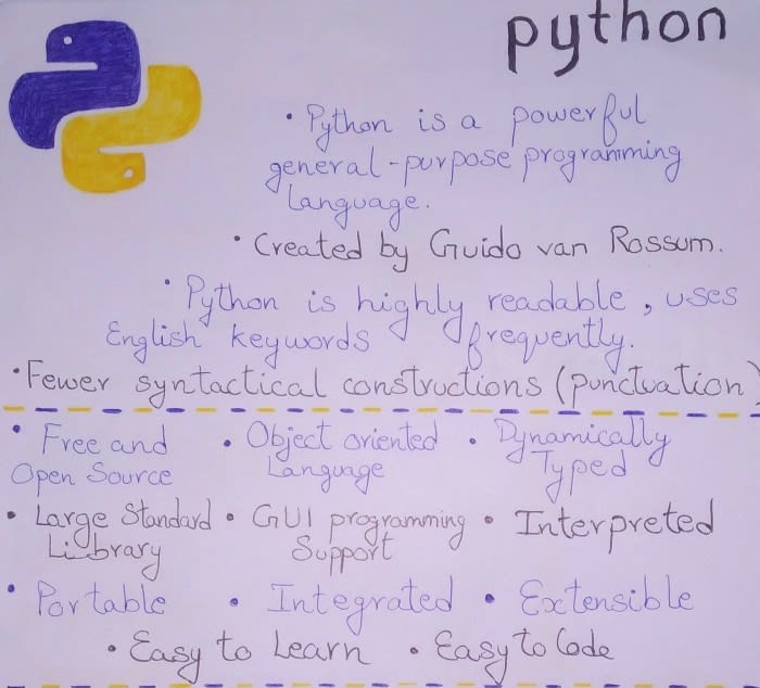 python txt write