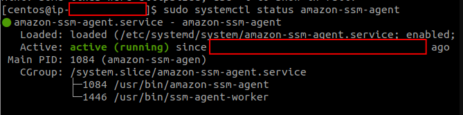 SSM-Agent-Service