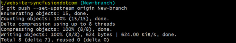 git push Command