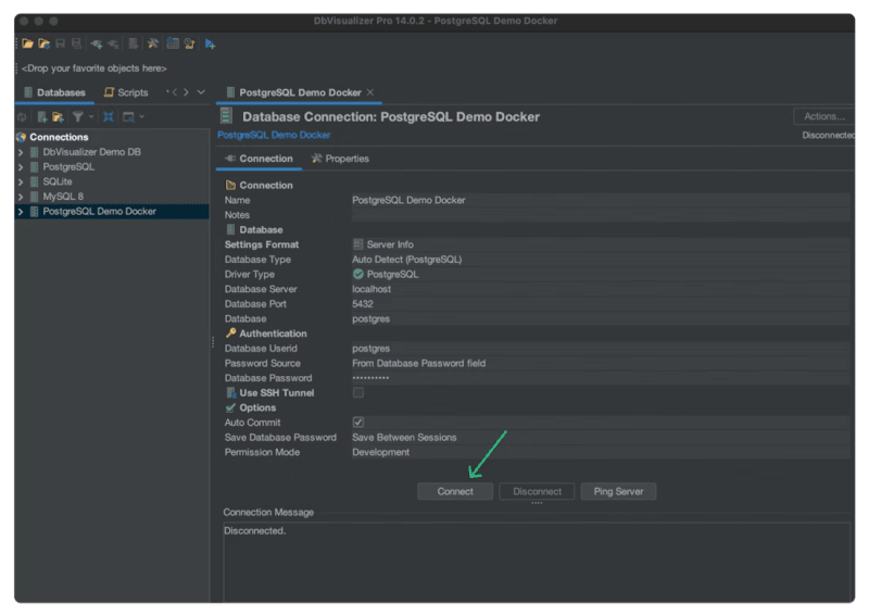 Connecting to the new Postgres Docker Container using DbVisualizer