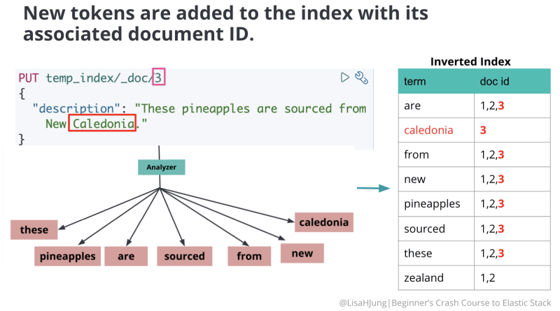 Beginner s guide Understanding mapping with Elasticsearch and