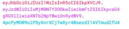 JWT Token