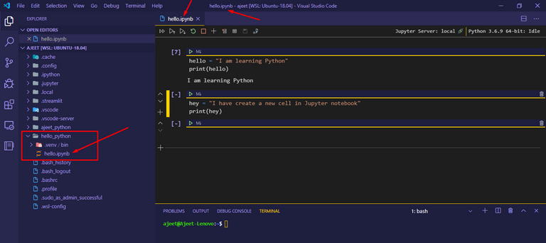 python jupyter notebook set up server