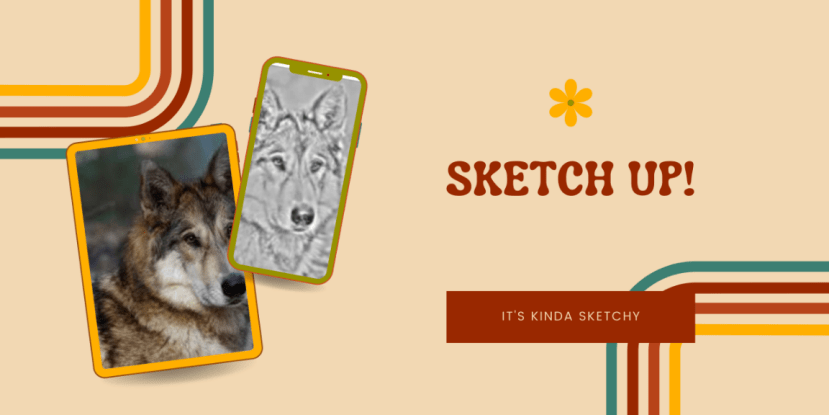 Sketch up
