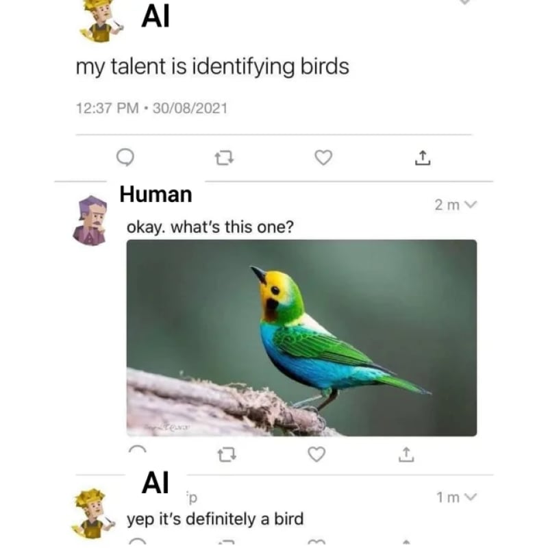 AI: My talent is identifying birds. Human: Okay, what's this one? AI: Definitely a bird.