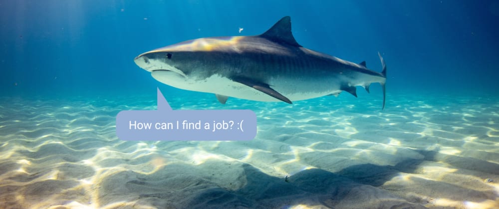 Cover image for Job hunting 101 for junior developers