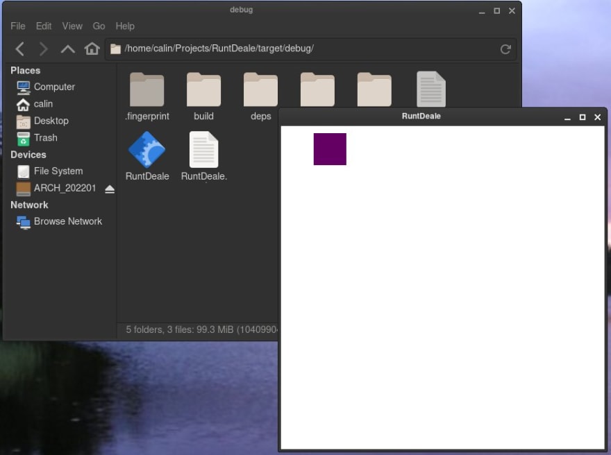 Image of program and  raw `target` endraw  folder.