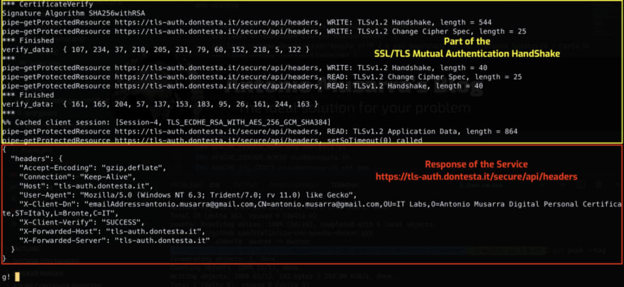 Esempio di output del comando Gogo Shell getProtectedResource